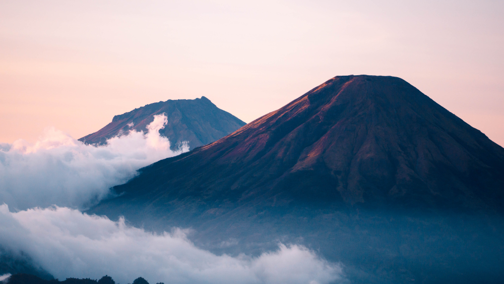 Why a Long-Term Investment Vision Drives Enduring Success